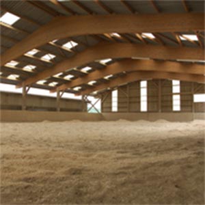 Horse Indoor Riding Arena